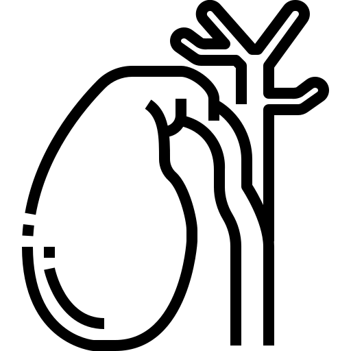 gallbladder